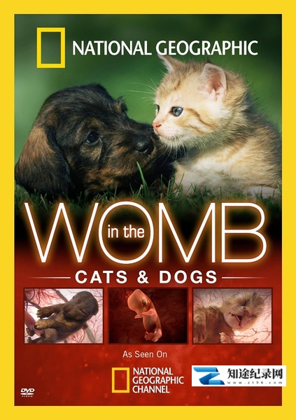 [国家地理]子宫日记：猫与犬 In the Womb: Cats and Dogs-知途纪录片网盘资源下载