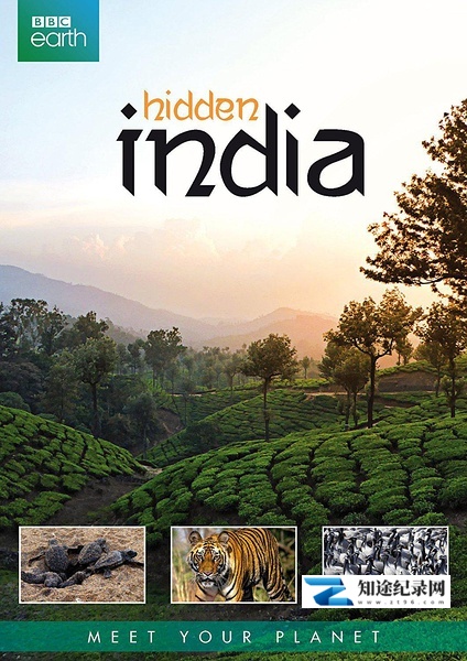 隐秘的印度 / Hidden India