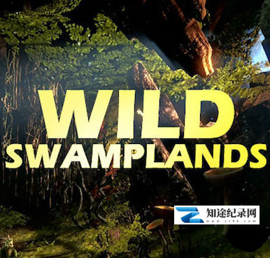 [国家地理]沼泽生态志 Wild Swamplands-知途纪录片网盘资源下载