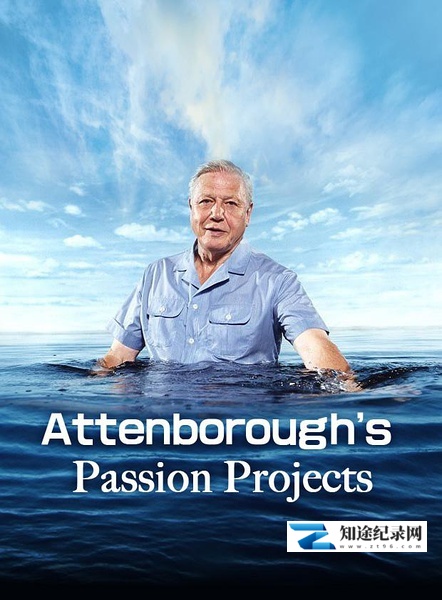 [BBC]爱丁保罗爷爷的激情项目 Attenborough's Passion Projects/爱登堡的兴趣项目-知途纪录片网盘资源下载