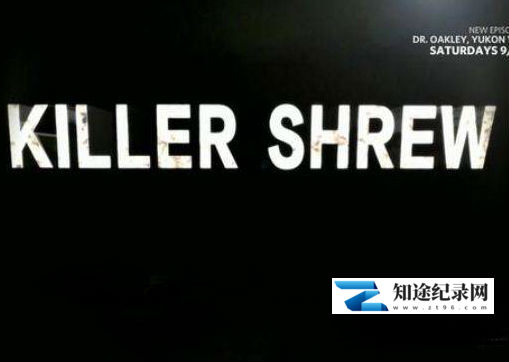 [国家地理]荒野杀手-鼩鼱 Wild-Killer.Shrew-知途纪录片网盘资源下载