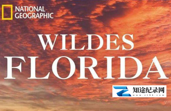 [国家地理]野性佛罗里达 Wild Flordia-知途纪录片网盘资源下载