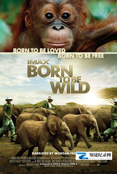 天生狂野 / Born to Be Wild