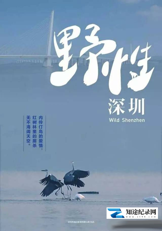 [CCTV]野性深圳 野性深圳-知途纪录片网盘资源下载