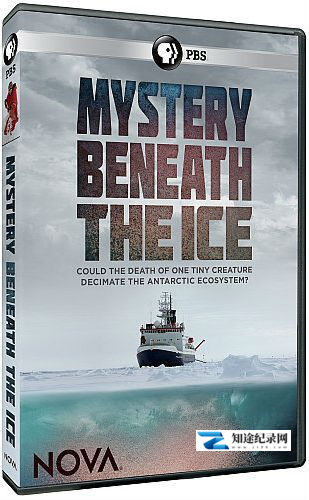 [PBS]冰川下的秘密 Mystery Beneath the Ice-知途纪录片网盘资源下载