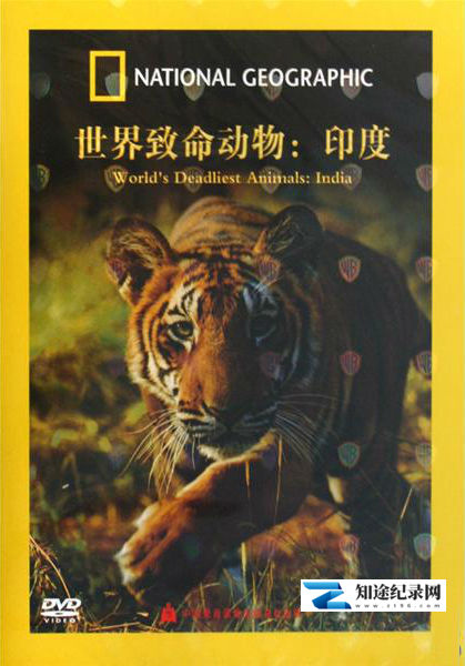 [Discovery]世界致命动物全系列 Worlds Deadliest Animals-知途纪录片网盘资源下载