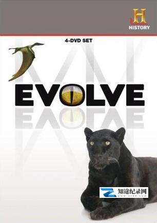 [History Channel]进化 Evolve-知途纪录片网盘资源下载