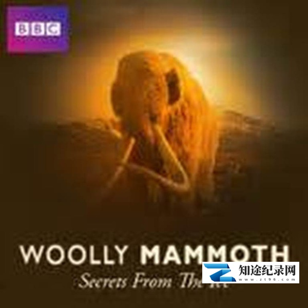 [BBC]揭秘冰层中的巨兽——猛犸 Woolly Mammoth: Secrets from the Ice-知途纪录片网盘资源下载