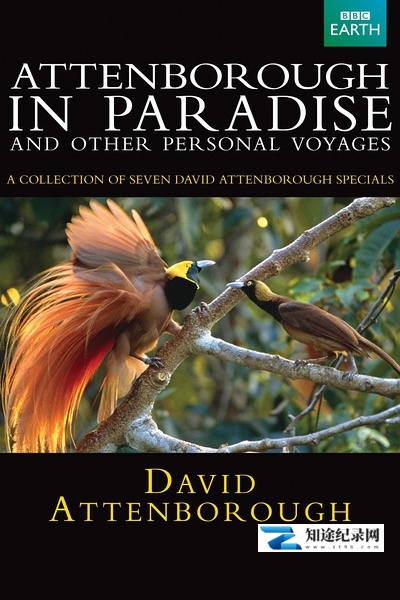 [BBC]鸟的天堂 Attenborough in Paradise-知途纪录片网盘资源下载