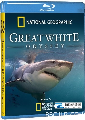 大白鲨的长途冒险旅程 / Great White Odyssey