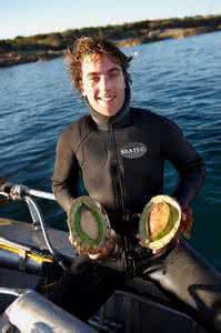 [Discovery]鲍鱼大战　全集 Abalone Wars-知途纪录片网盘资源下载