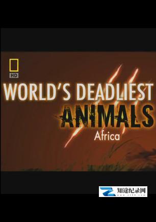 世界致命动物系列:非洲篇 / World's Deadliest Animals: Africa