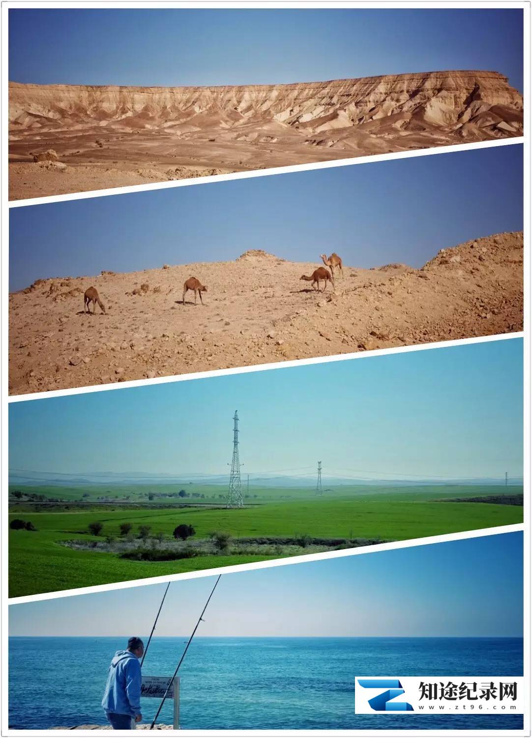 [国家地理]最后的地中海森林 Wild Med-知途纪录片网盘资源下载