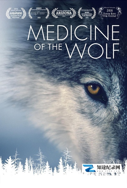 [Discovery]狼医学 Medicine of the Wolf-知途纪录片网盘资源下载