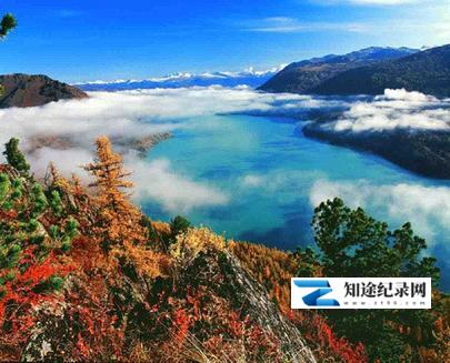 [CCTV]净土喀纳斯 净土喀纳斯-知途纪录片网盘资源下载