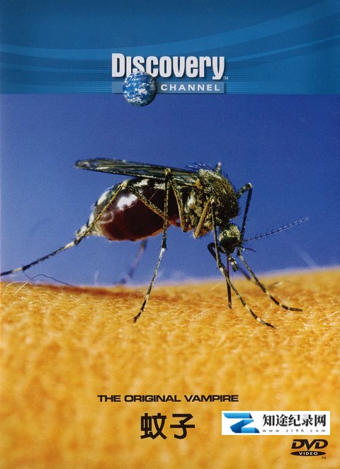 [Discovery]蚊子 The Original Vampire-知途纪录片网盘资源下载