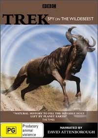 大迁徙 角马群里的间谍 / Trek: Spy on the Wildebeest