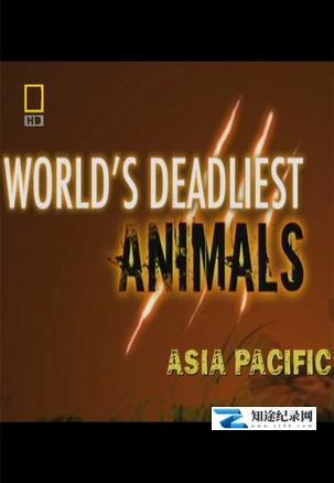 [国家地理]世界致命动物系列 Worlds Deadliest Animals Asia Pacific-知途纪录片网盘资源下载