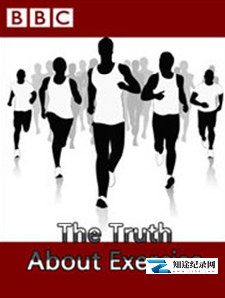 关于锻炼的真相 / The Truth About Exercise