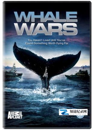 [国家地理]鲸鱼大战 第一季 Whale Wars Season 1/护鲸大战-知途纪录片网盘资源下载