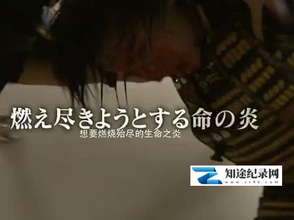 [其他]堂本光一 一切为了舞台，极致的演出 堂本光一 すべてはステージのために-知途纪录片网盘资源下载