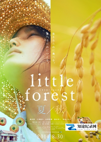 [其他]小森林 夏秋篇 小森食光/夏秋篇(台) / Little Forest Summer & Autumn-知途纪录片网盘资源下载