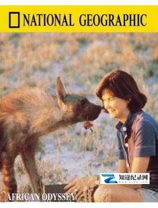 非洲历险 / African Odyssey