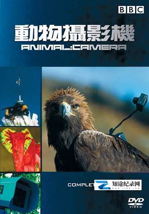 [BBC]动物摄影机 Animal Camera-知途纪录片网盘资源下载