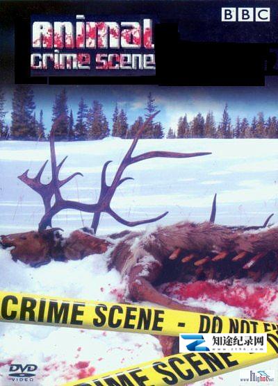 [BBC]动物犯罪现场 Animal Crime Scene-知途纪录片网盘资源下载