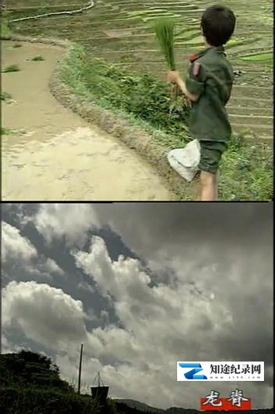 [其他]龙脊 龙脊-知途纪录片网盘资源下载