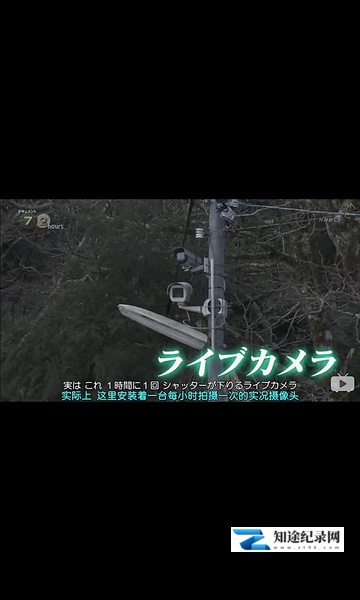 金刚山的实时摄像头 / 金剛山 ライブカメラの山頂で