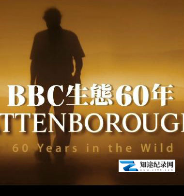 [BBC]BBC野性自然合集 野性自然合集-知途纪录片网盘资源下载