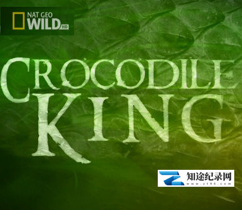 [国家地理]鳄鱼之王 Crocodile King-知途纪录片网盘资源下载