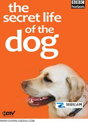 [BBC]狗狗秘闻 The Secret Life of the Dog-知途纪录片网盘资源下载