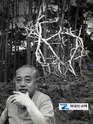 [其他]插花 いけばな-知途纪录片网盘资源下载