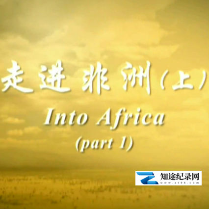 [Discovery]中企在海外_走进非洲 走进非洲-知途纪录片网盘资源下载