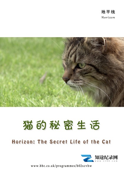 [BBC]猫的秘密生活 The Secret Life of the Cat-知途纪录片网盘资源下载