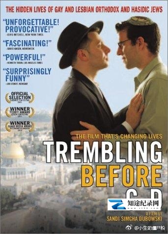 [其他]在神前战栗 Trembling Before G-d-知途纪录片网盘资源下载