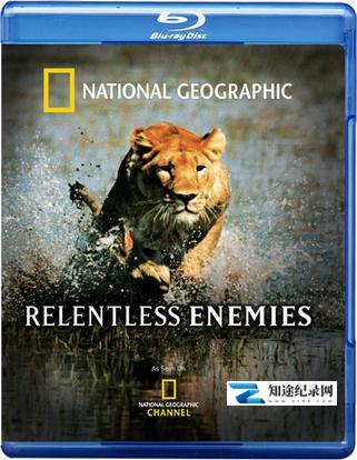 [国家地理]冷酷宿敌 Relentless Enemies-知途纪录片网盘资源下载