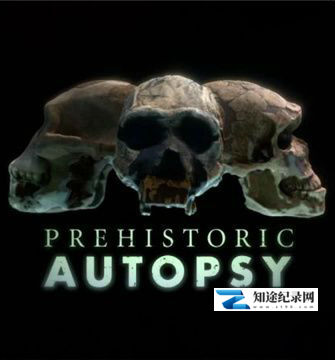 史前尸检 / Prehistoric Autopsy / 解剖史前古尸