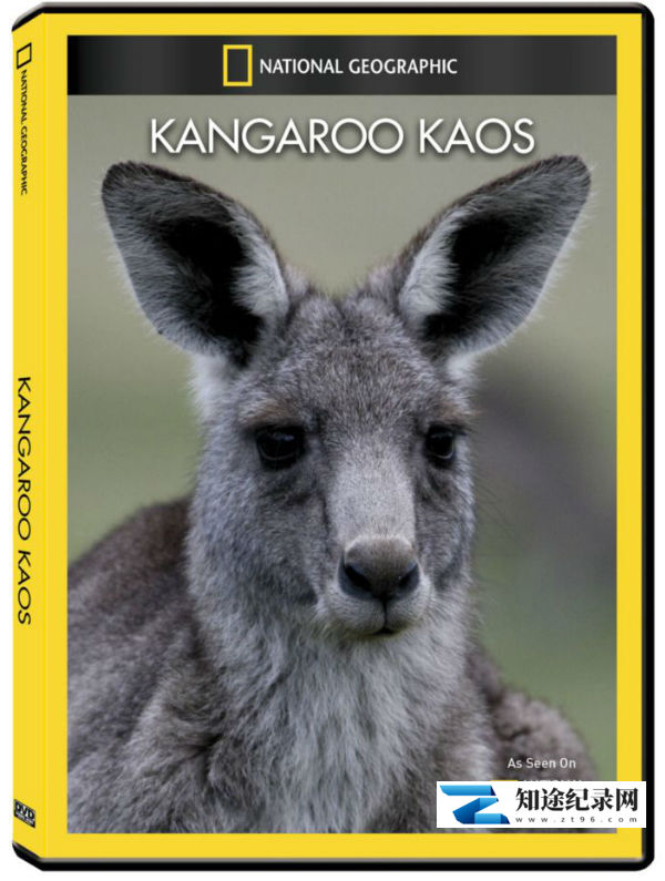 [国家地理]袋鼠骚动 Kangaroo Kaos-知途纪录片网盘资源下载