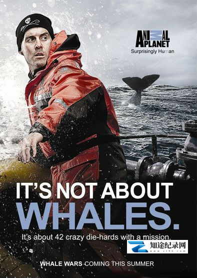 [国家地理]鲸鱼大战 第三季 Whale Wars Season 3/护鲸大战-知途纪录片网盘资源下载