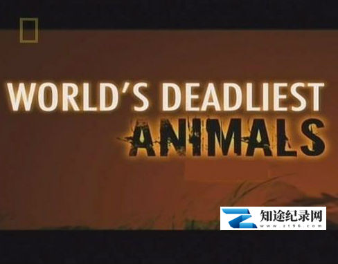 [国家地理]世界致命动物系列 全集 World's Deadliest Animals-知途纪录片网盘资源下载