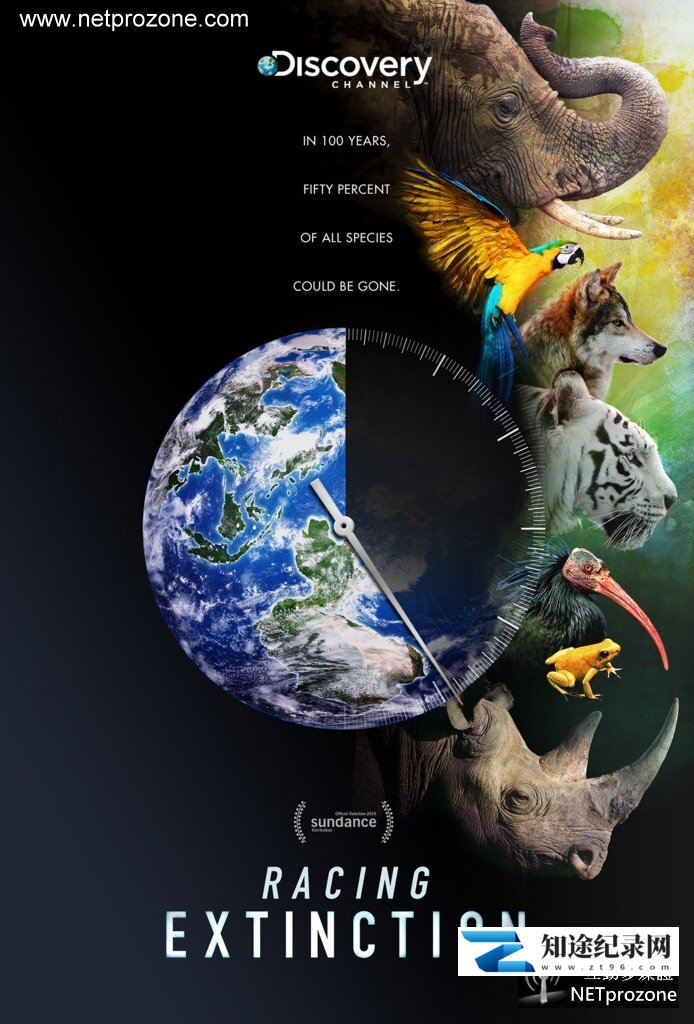 [Discovery]和物种灭绝赛跑 Racing Extinction-知途纪录片网盘资源下载