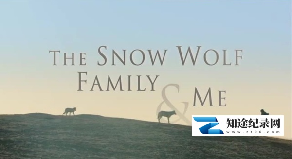 [BBC]我和雪狼家族 Snow Wolf Family and Me-知途纪录片网盘资源下载