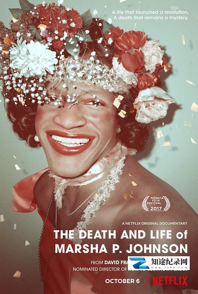 [其他]玛莎·约翰逊的死与生 The Death and Life of Marsha P. Johnson-知途纪录片网盘资源下载