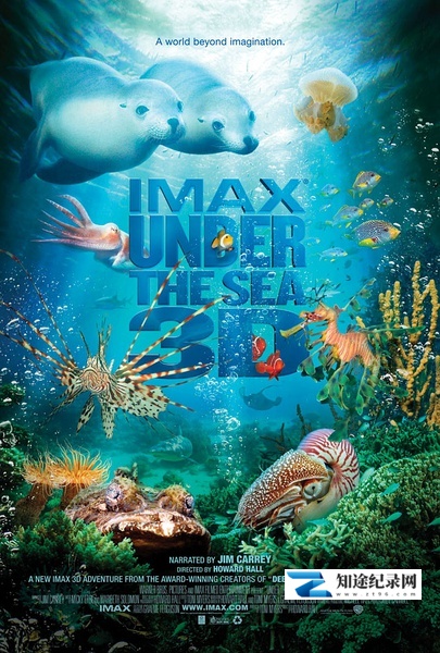 [IMAX]海底世界3D Under the Sea 3D-知途纪录片网盘资源下载