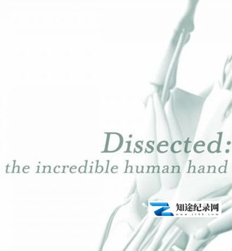 [BBC]剖析手足：不可思议的人体 Dissected The Incredible Human-知途纪录片网盘资源下载