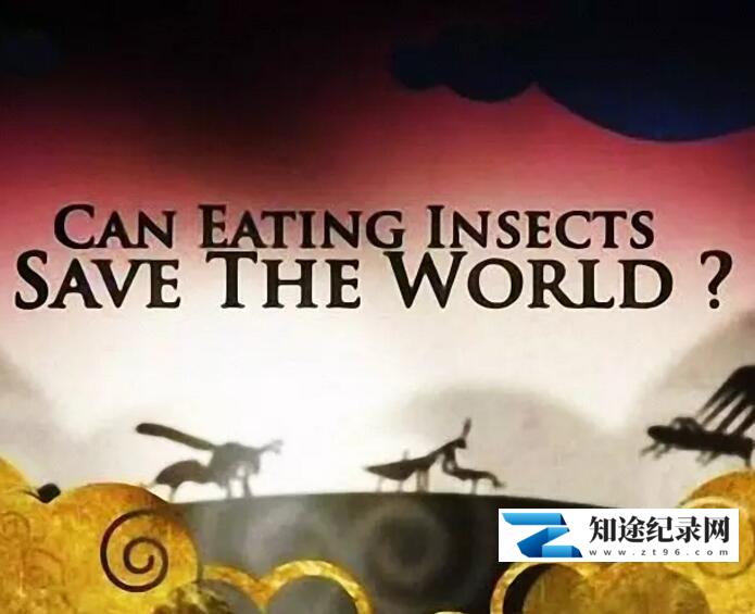 [BBC]吃昆虫能拯救世界吗？ Can Eating Insects Save the World?-知途纪录片网盘资源下载