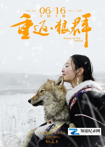 重返·狼群 / Return To The Wolves